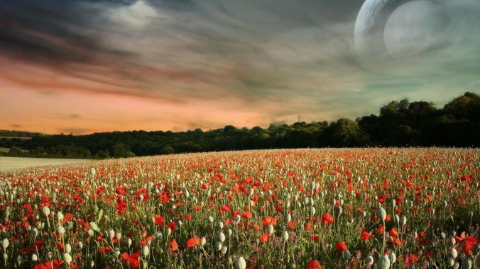 求问：J***a后端开发CPU选E3/E5还是i7/R7？